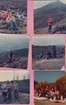 Document thumbnail
